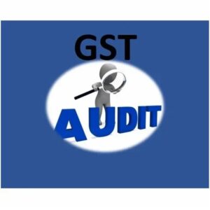 GST Audit Service in Delhi